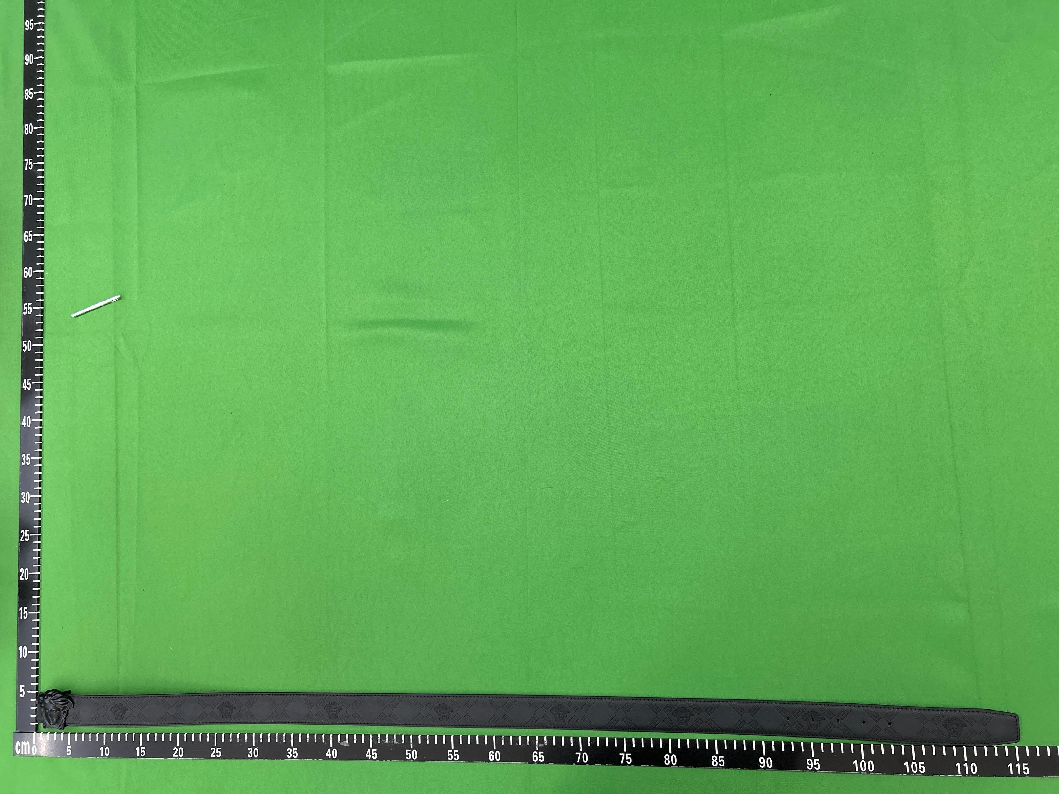 Foto QC 5 de Versace Medusa Belt Black