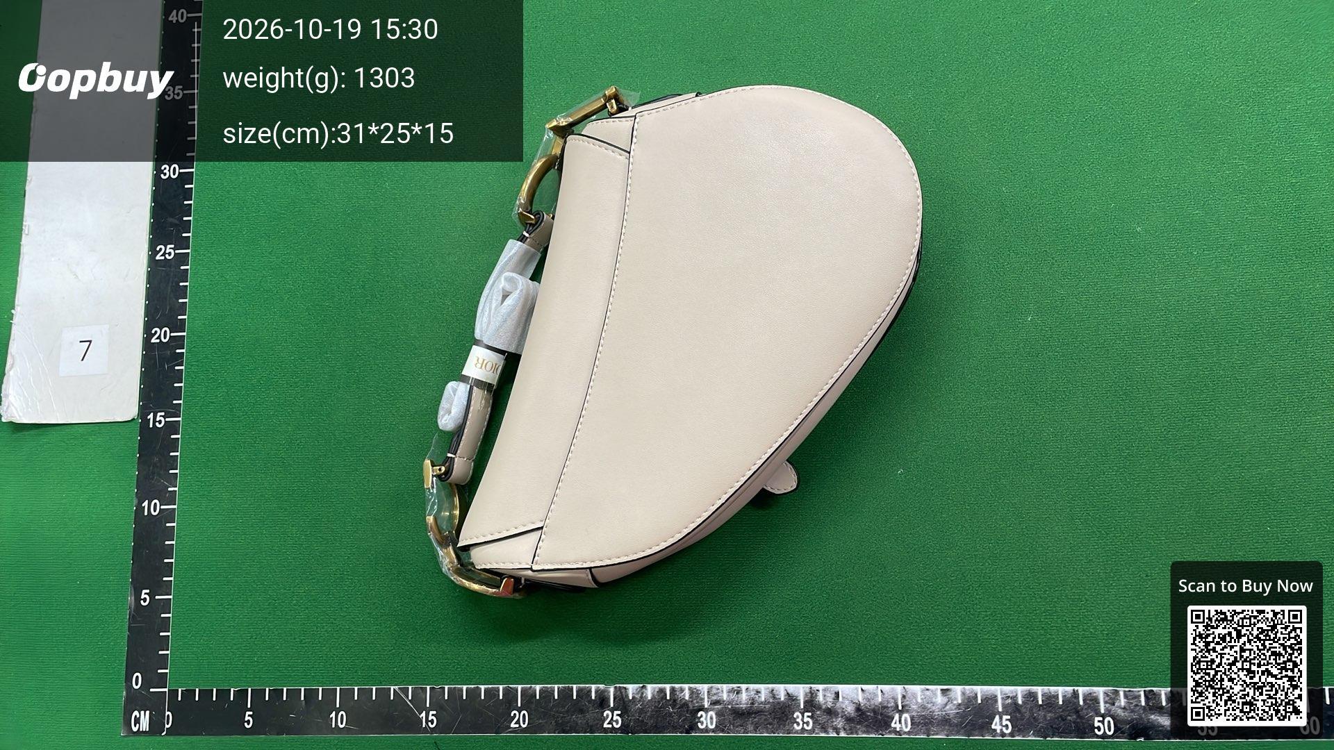 Foto QC 4 de Dior Saddle Oblique Canvas