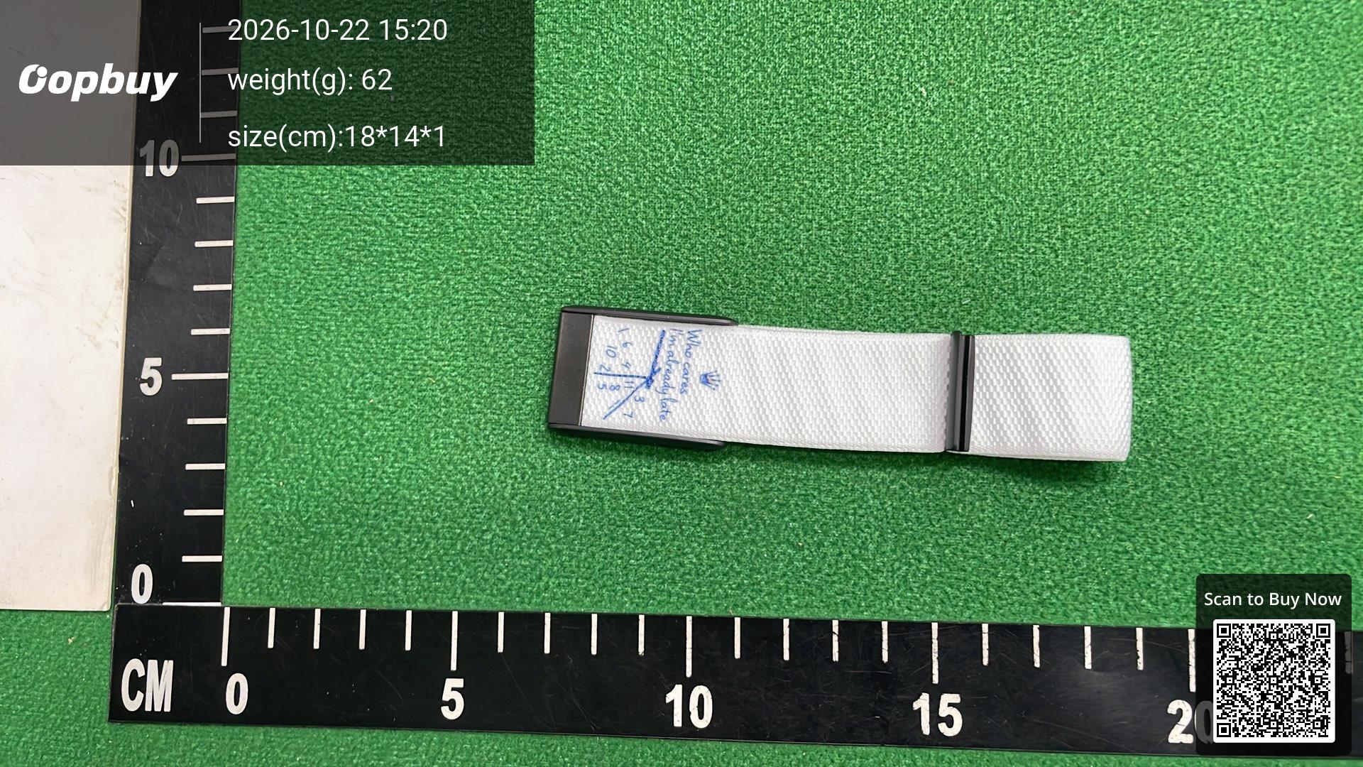 Foto QC 1 de Other Already Late Band for WHOOP 4.0/5.0 White