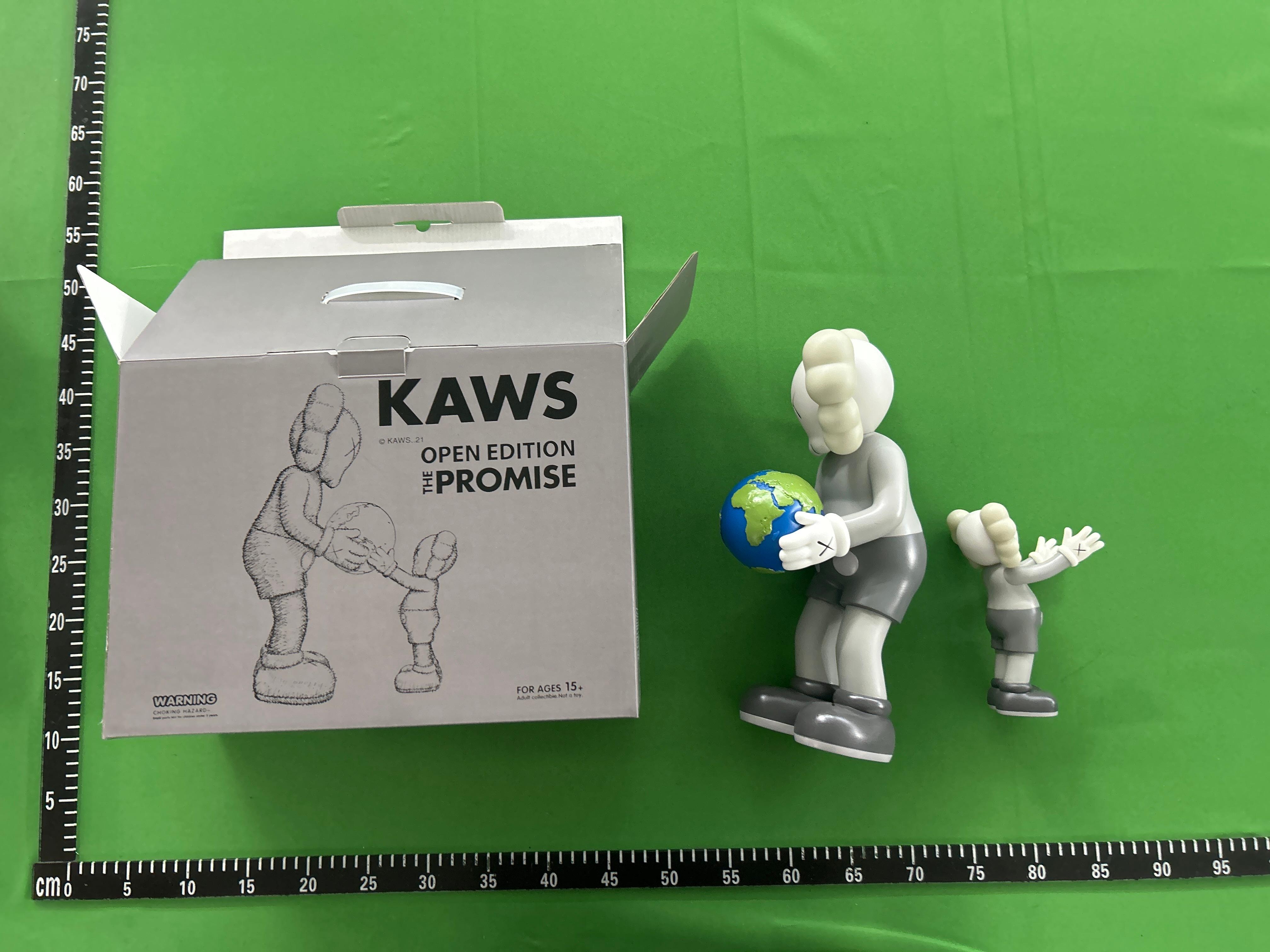 Foto QC 4 de KAWS Companion Share Grey Vinyl Figure