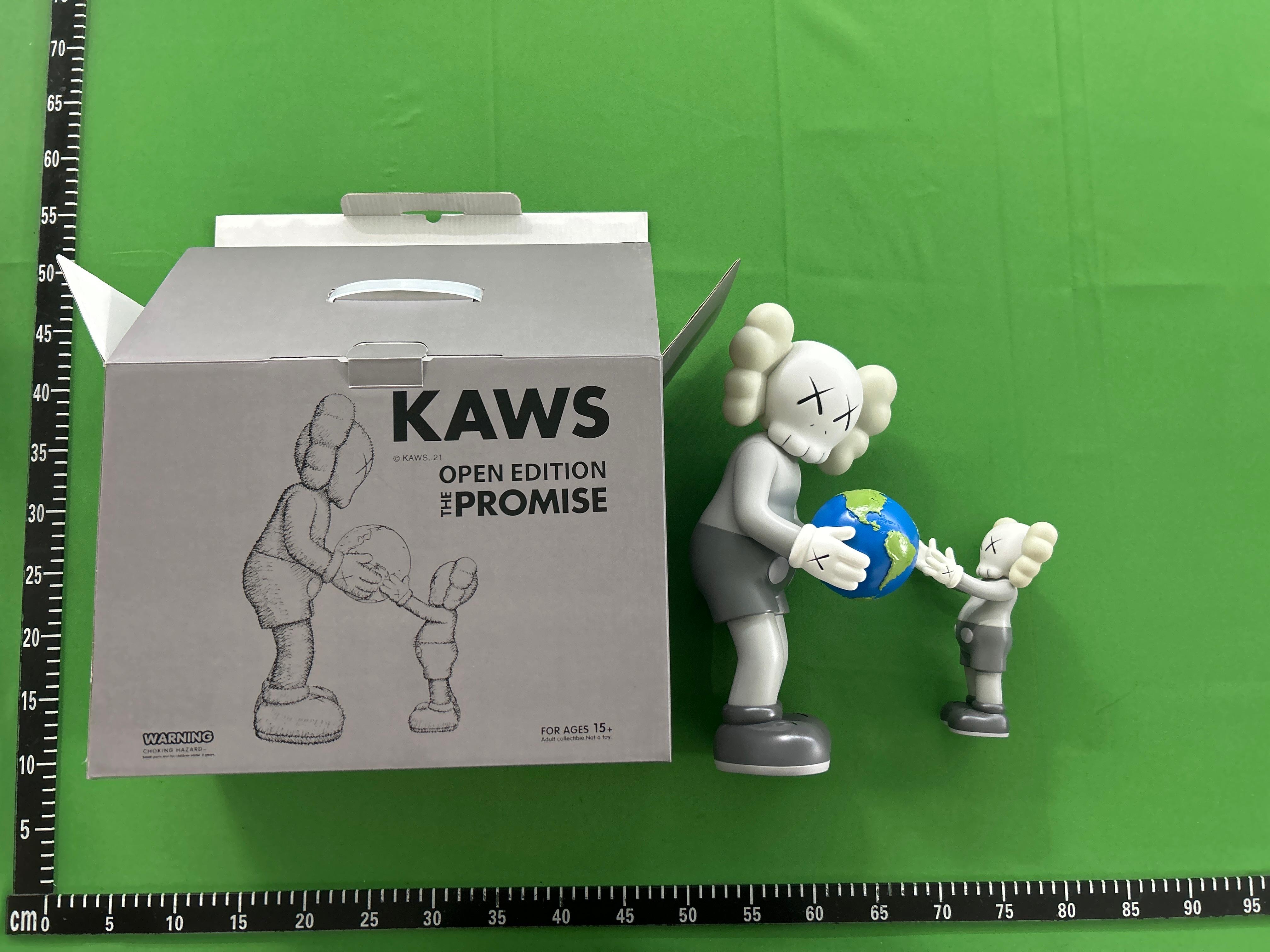 Foto QC 3 de KAWS Companion Share Grey Vinyl Figure