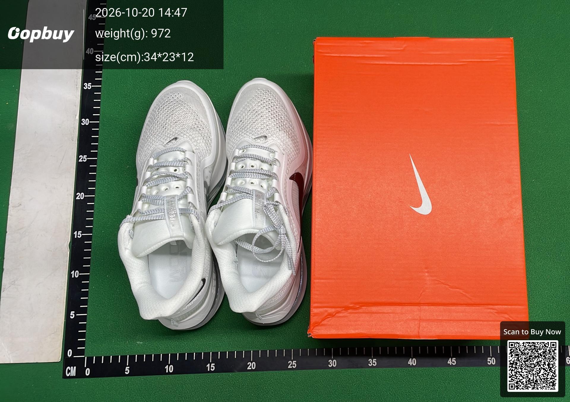 Foto QC 1 de Nike Air Pegasus Premium Low Prototype