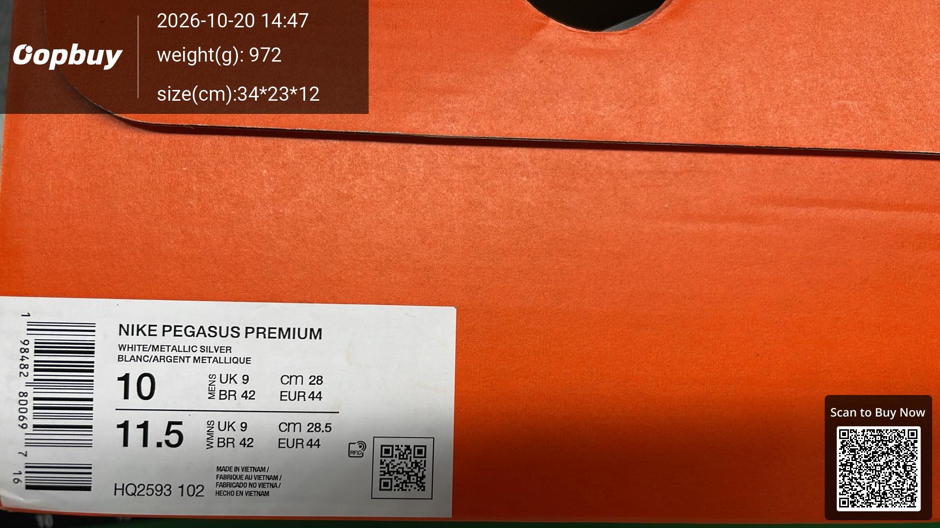 Foto QC 2 de Nike Air Pegasus Premium Low Prototype