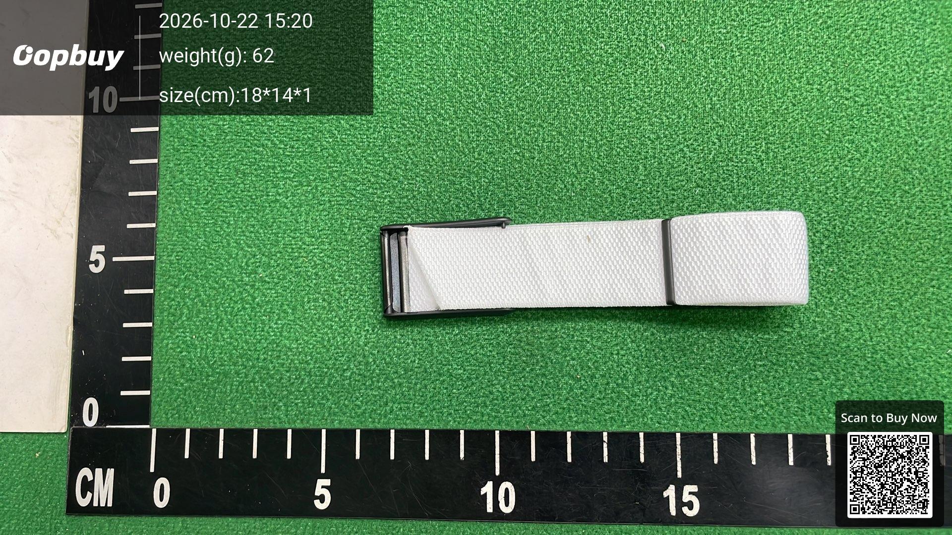 Foto QC 2 de Other Already Late Band for WHOOP 4.0/5.0 White