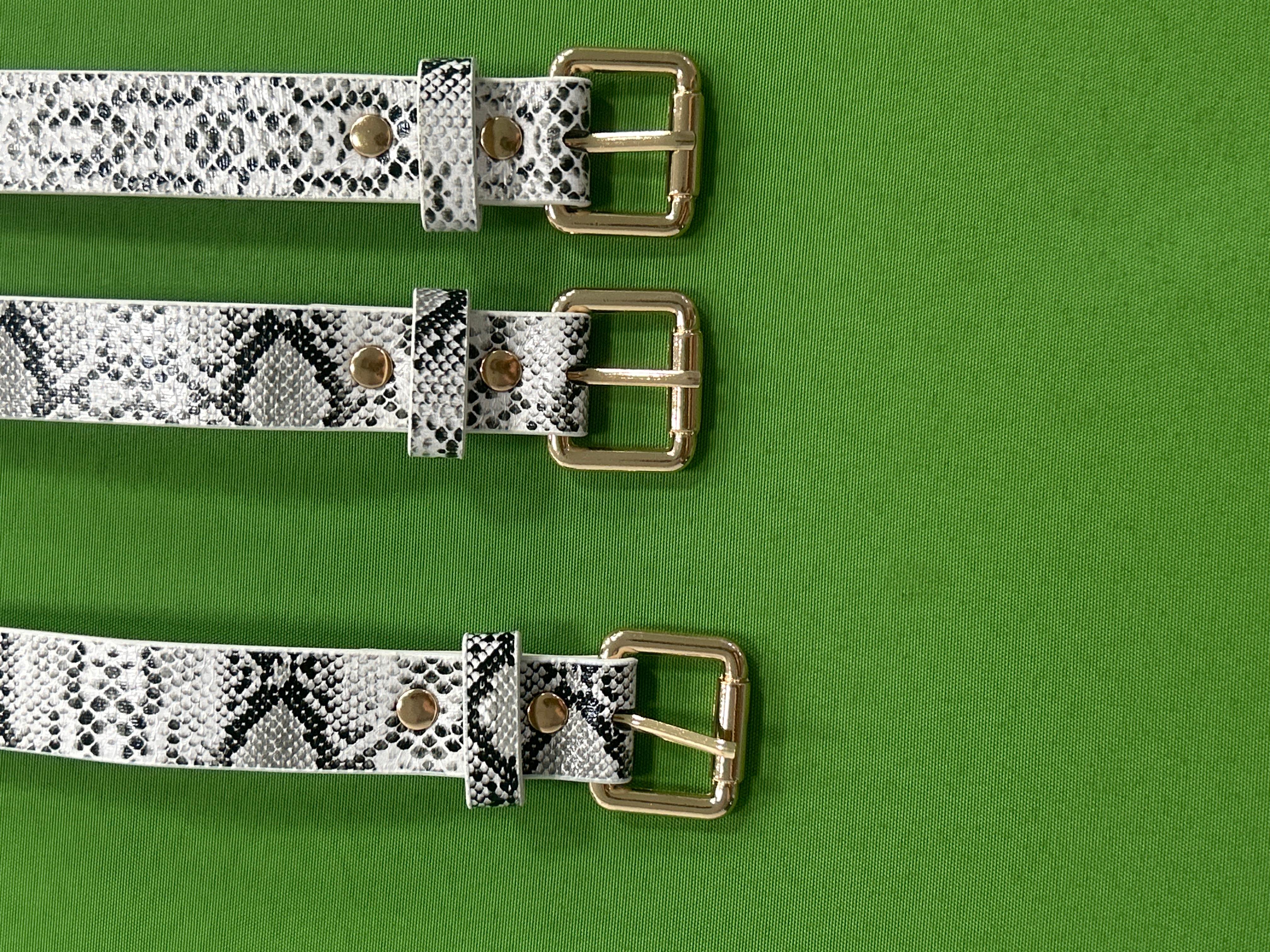 Foto QC 6 de Belt Leopard