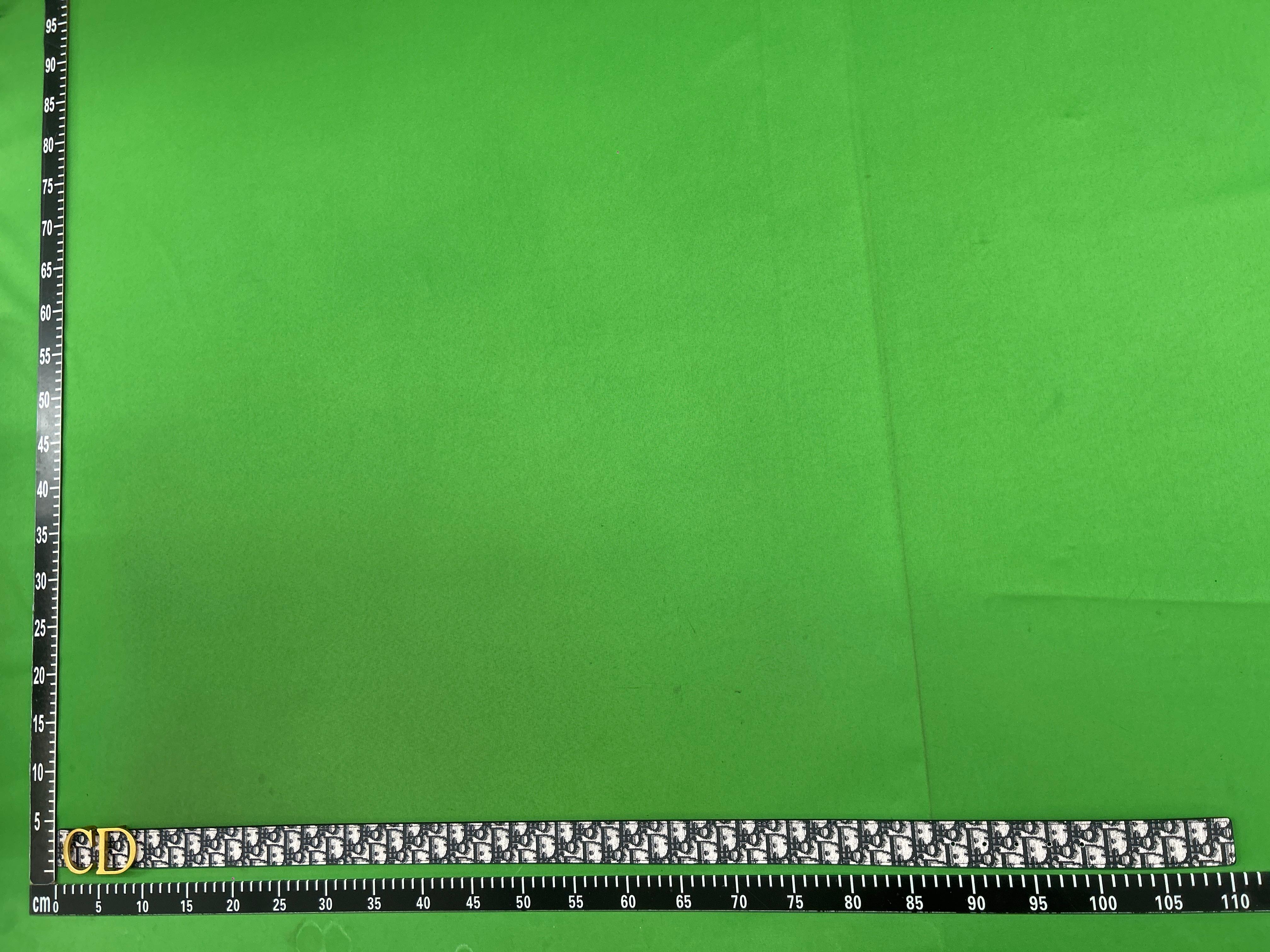 Foto QC 2 de Dior CD Icon Belt Black